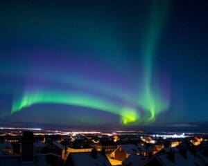 Reykjavik: Northern Lights and Icelandic Culture