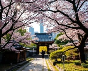 Tokyo: Experience Modernity and Ancient Temples