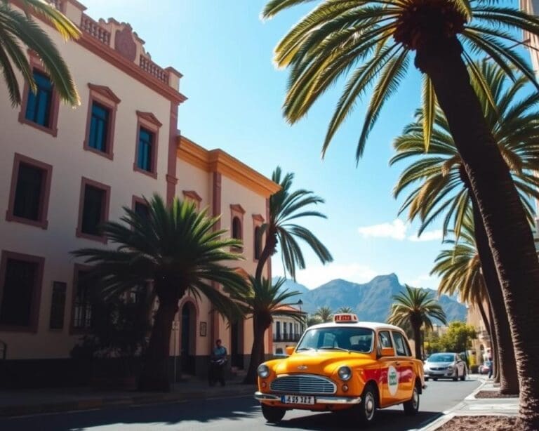 Enjoy a relaxing Tenerife tour with local taxi experts