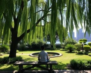 The art of slow living in a fast-paced world