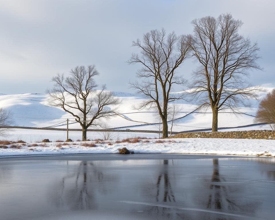 How healing is winter stillness in the Dales?