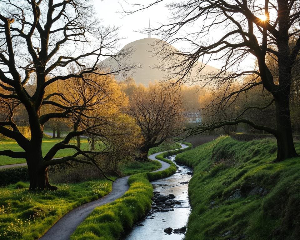 Arthur's Seat and Water of Leith scenic walks