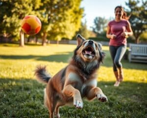 How does your dog help you stay active?